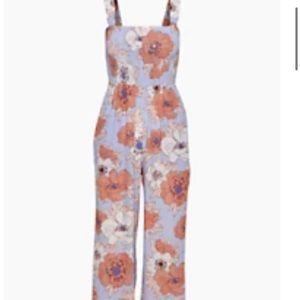 Aritzia chianti jumpsuit